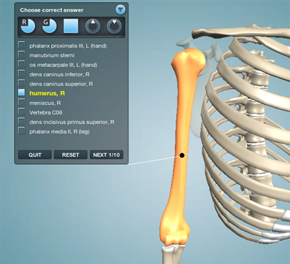 Anatomy-Quiz Test your anatomy knowledge