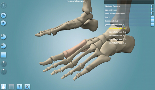 Anatronica - Android Free Tablet Application Anatronica - Android Free Tablet Application
