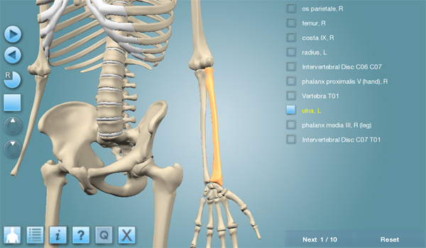 Anatronica android app anatomy quiz feature Anatronica android app anatomy quiz feature