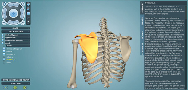 Skeletal System Data Layers Skeletal System Data Layers