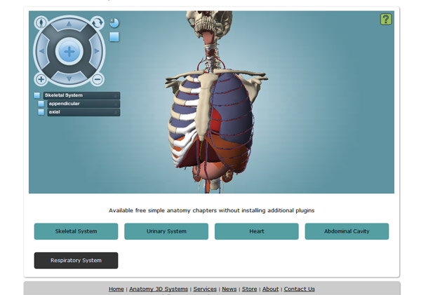 Respiratory System Flash 3D