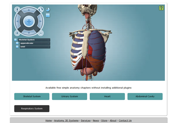 Respiratory System Flash 3D Respiratory System Flash 3D